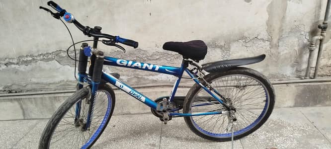 Giant oval bicycle without gears