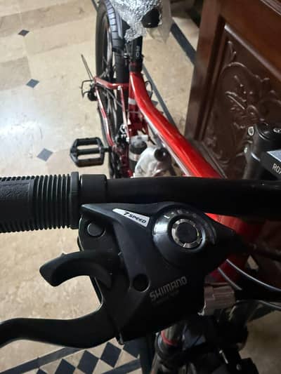 mountain  bicycle 12 springs