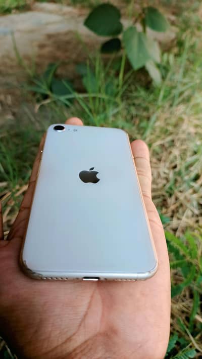 iPhone SE 3 2022 With Box and Original Cable