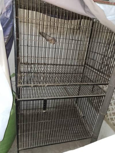 cages urgent for sale
