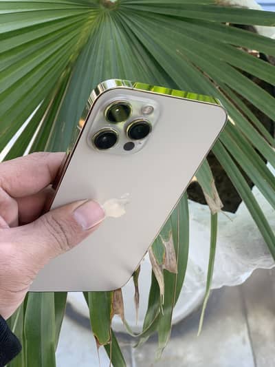 Iphone 12 pro mx golden