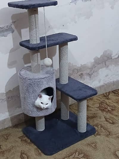 Multi-Level Cat tree with scratching Posts & Cozy hideout