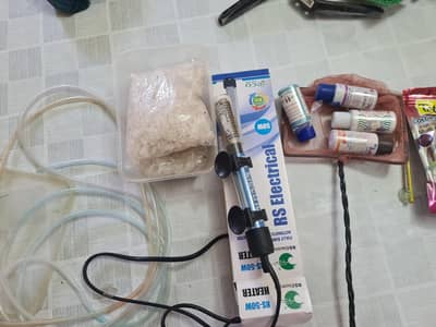 Aquarium With Filter, 2 Fishes And Dual Nozzle Air Pump