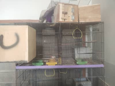 8 Khana k Cage complete setup without birds.