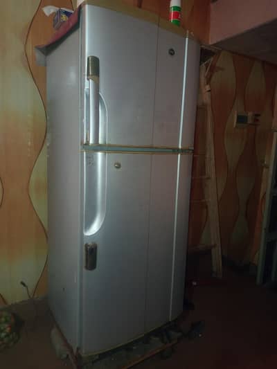 Jumbo PEL Refrigerator
