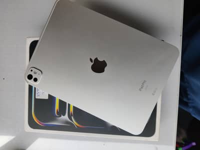 Ipad Pro M4 11 inch 256gb