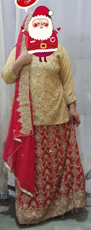wedding dress / bridal dress/ lehenga