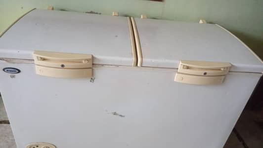 Egrunt sale koi fully NH h