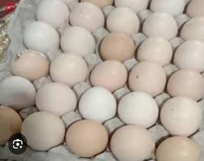 Desi egg available