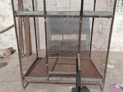 Cage iron hen or big pariot