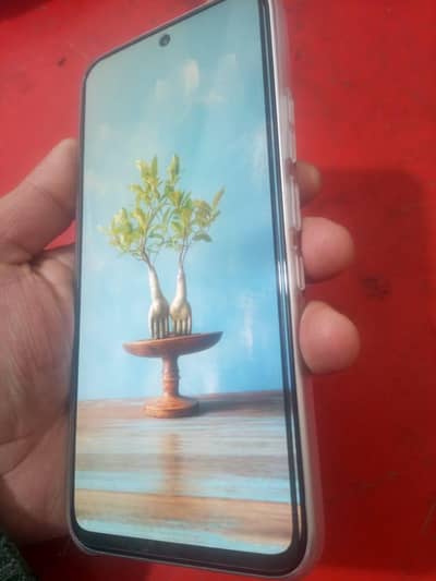 one day used condition 10 by 10