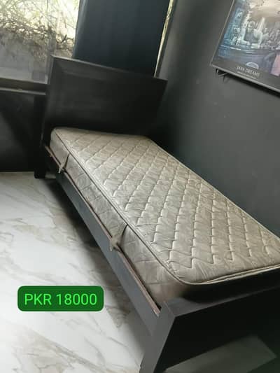 Luxury Single Bed + Spring Mattress (Condition 10/10)