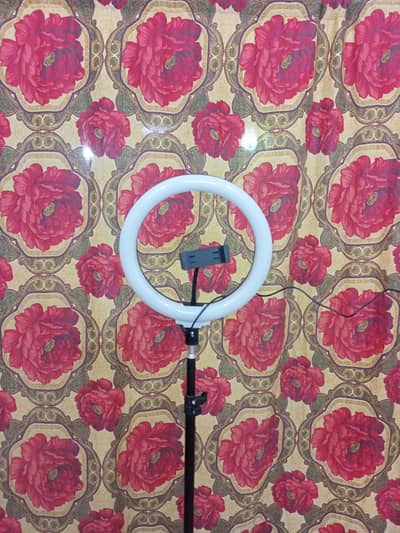 Ring Light Argent sell all ok