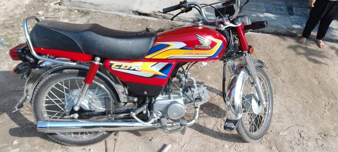 CD 70 2025 lush condition