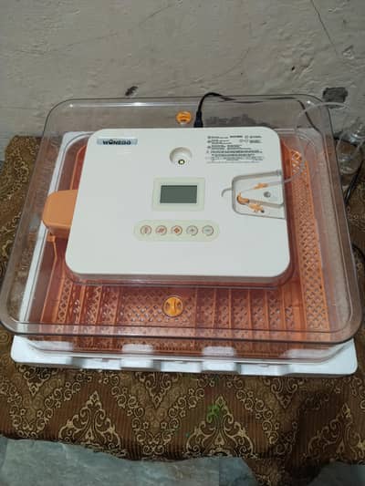 Incobator for sale 100 egg plus