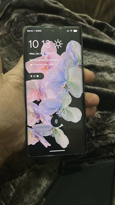 Google pixel 6 pro pta approved