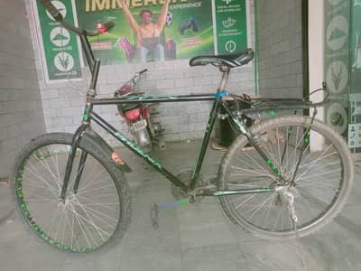 Phonex willing cycle full size