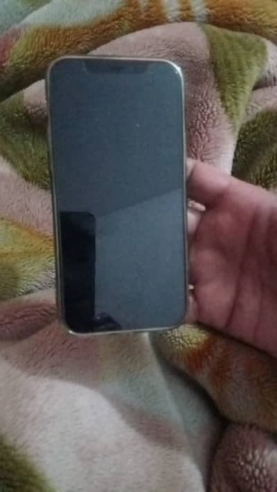 Mobile phone iPhone 12Pro