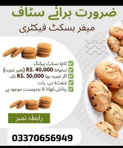 Packing staff male job femals job factory worker morning night shift