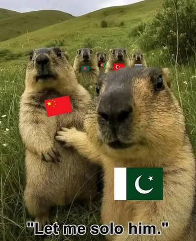 pick and drop available