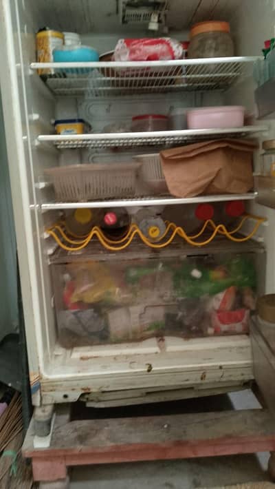 fridge & deep freezer