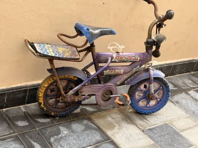 Kids cycle up to 5 to 7 yrs old