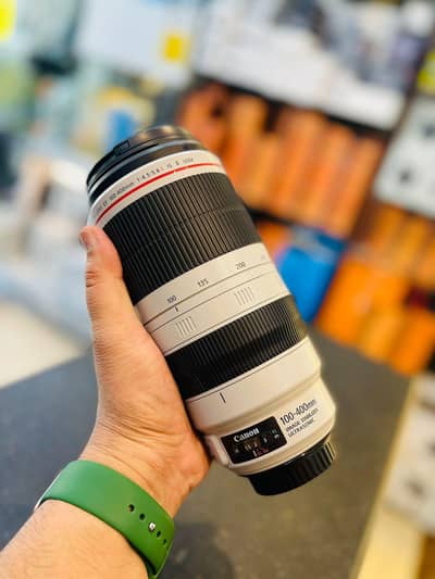 Canon EF 100-400mm IS-II USM Telephoto Lens