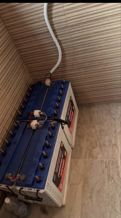 Phoenix tall tubular batteries for sale