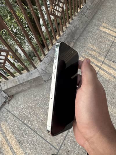 iPhone 14 Pro PTA Approved