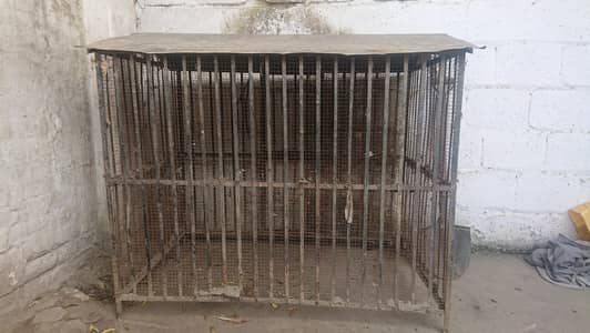 Hen cage (pinjra)