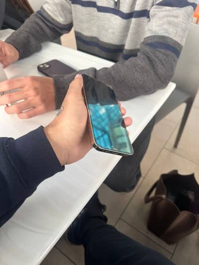 iPhone 13 Pro Max factory unlock