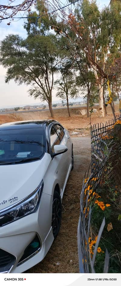 fully original pori original paint