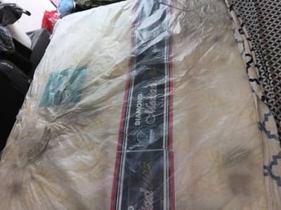 diamond foam 5 month use