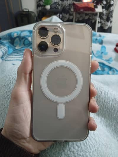 Iphone 13 pro max FU 89 health