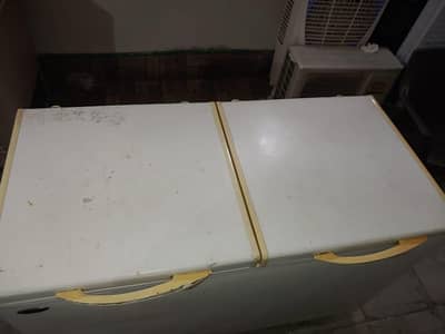 double door freezer total jenion