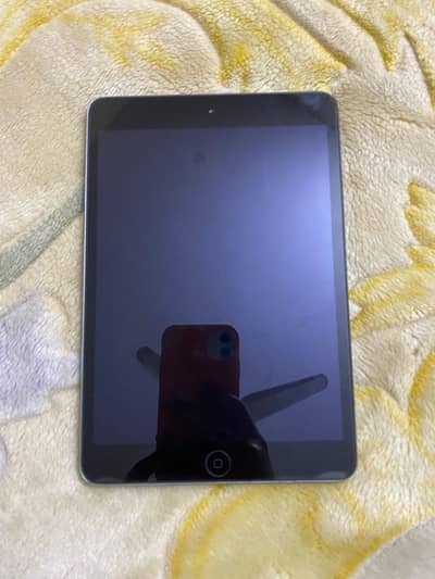 Apple iPad lush condition