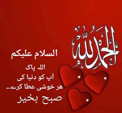 female maid required for small family