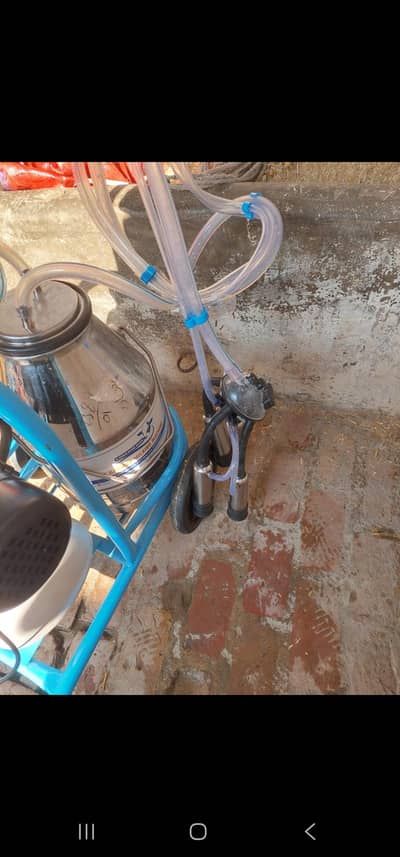 milking machine for sale