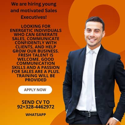 sales executive