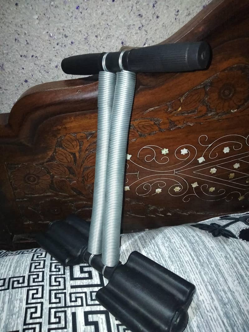 Tummy Trimmer Double Spring 2