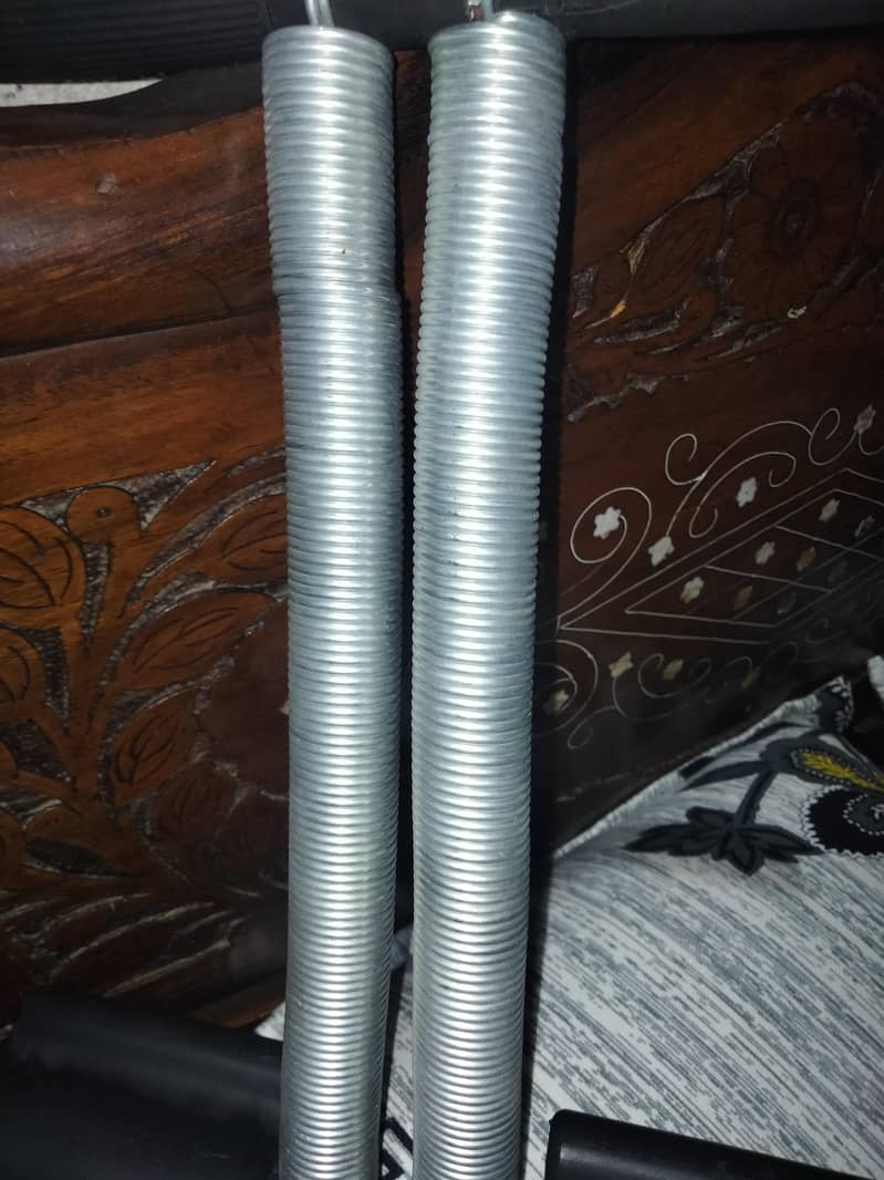 Tummy Trimmer Double Spring 3