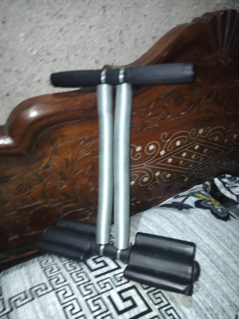 Tummy Trimmer Double Spring 4