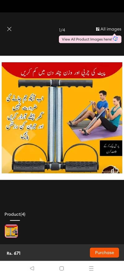 Tummy Trimmer Double Spring
