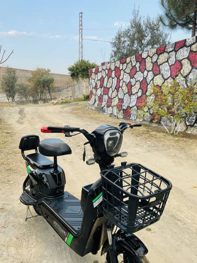 Final 55K new scotty