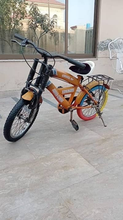 16 inch cycle for 4 to 7 years