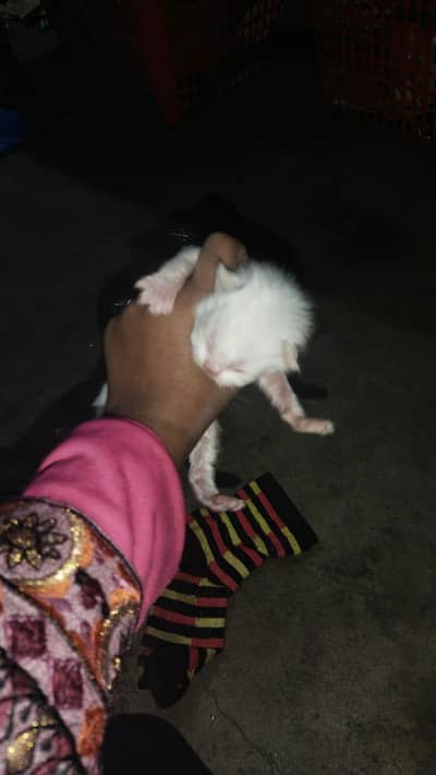 urgent sell karni hy waths app no 03228012880