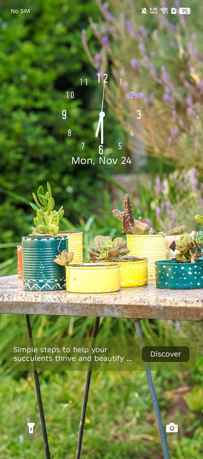 Rockwall and paint service