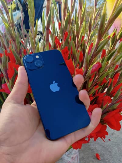 IPHONE 13 NON EXCHANGE POSSIBLE