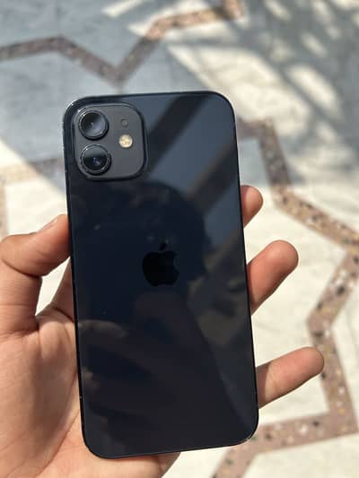 iPhone 12 dual approved