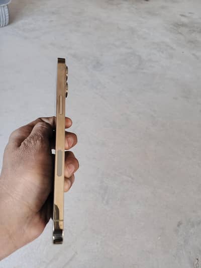 12pro max pta approved